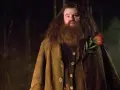 Robbie Coltrane jako Hagrid w Harrym Potterze - niezapomniana rola