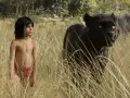 Mowgli stoi w wysokiej trawie obok czarnej pantery.