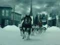 Najlepsze filmy o psim zaprzęgu, które poruszają serce i emocje