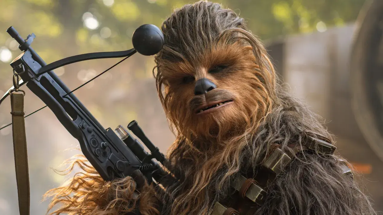 Wookiee czubaka z blasterem w ręku, gotowy do akcji.