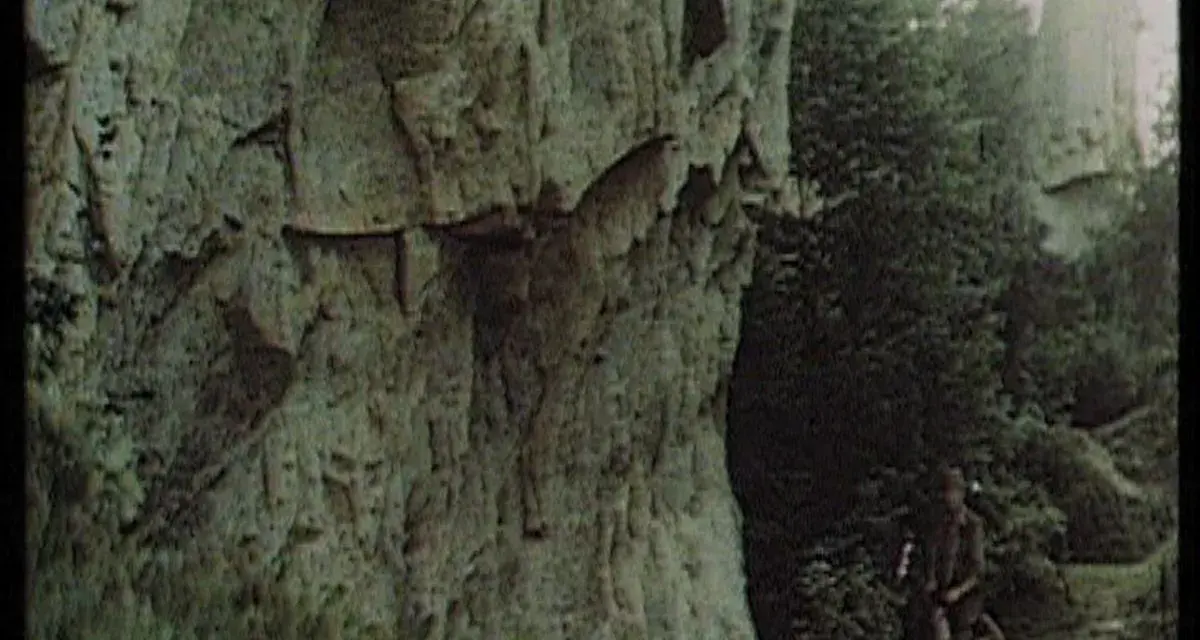 Gdzie kręcono film wilcze echa? Odkryj niezwykłe lokalizacje w Bieszczadach