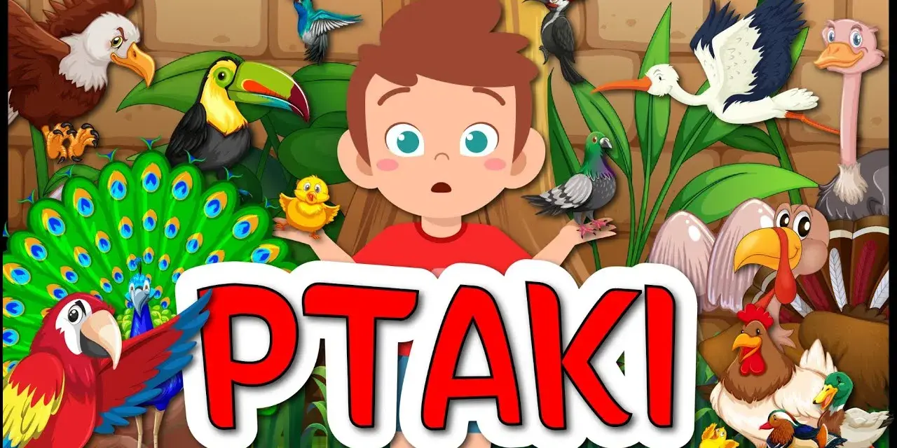 Ciekawe filmy o ptakach dla dzieci, które uczą o ich zwyczajach