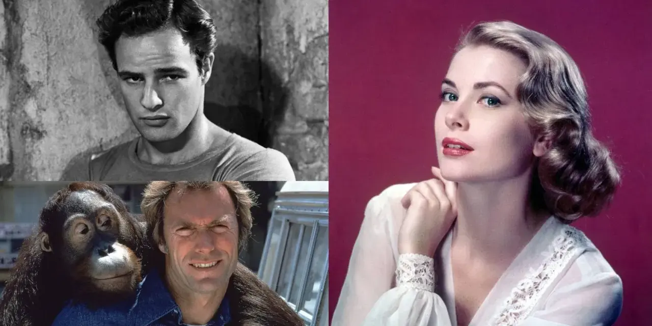 Marlon Brando, Clint Eastwood z orangutanem i Grace Kelly. Kto to za aktorzy?
