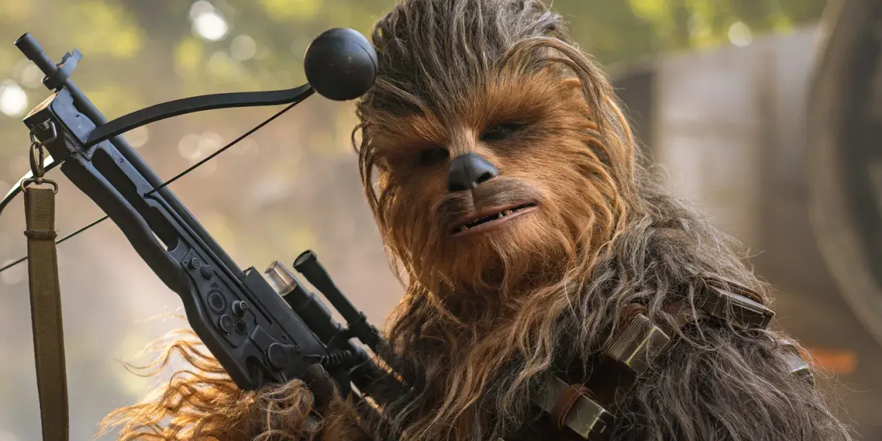 Wookiee czubaka z blasterem w ręku, gotowy do akcji.