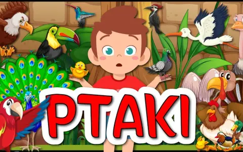Ciekawe filmy o ptakach dla dzieci, które uczą o ich zwyczajach