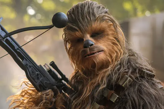 Wookiee czubaka z blasterem w ręku, gotowy do akcji.