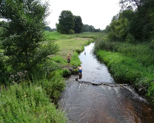 Dwóch mężczyzn w kąpielówkach pluska się w rzece, czując się jak u pana boga w ogródku. Otacza ich bujna zieleń i spokój natury.