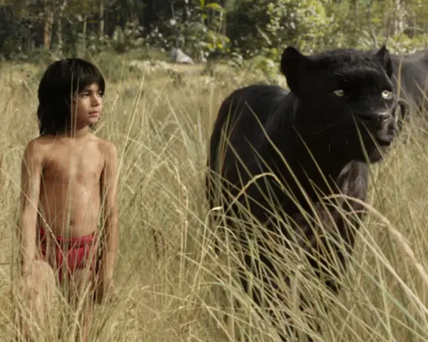 Mowgli stoi w wysokiej trawie obok czarnej pantery.