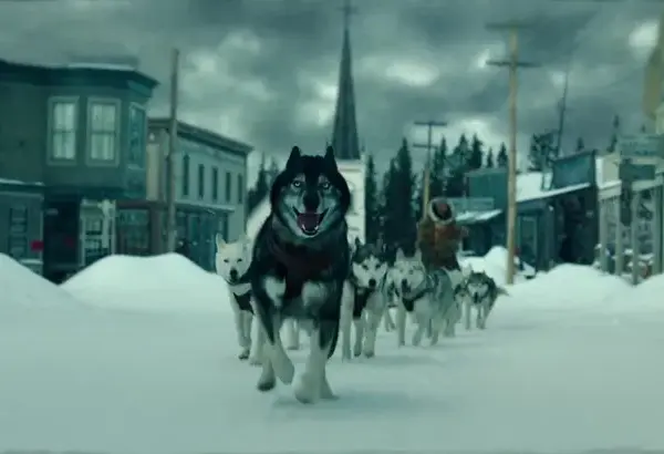 Najlepsze filmy o psim zaprzęgu, które poruszają serce i emocje