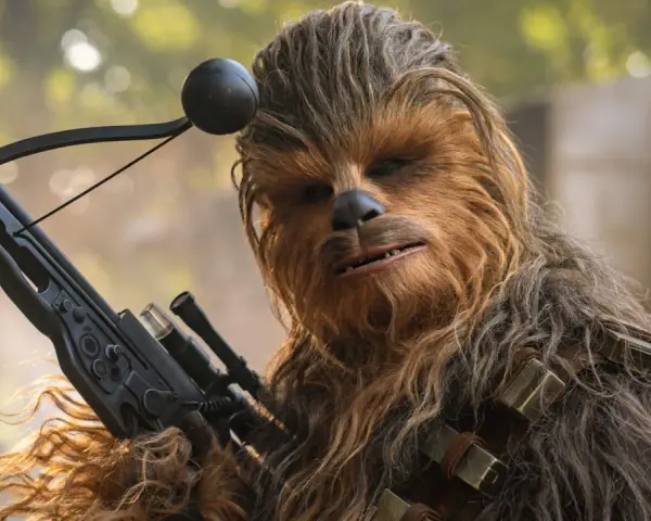 Wookiee czubaka z blasterem w ręku, gotowy do akcji.