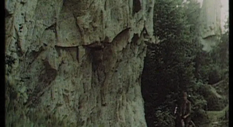 Gdzie kręcono film wilcze echa? Odkryj niezwykłe lokalizacje w Bieszczadach