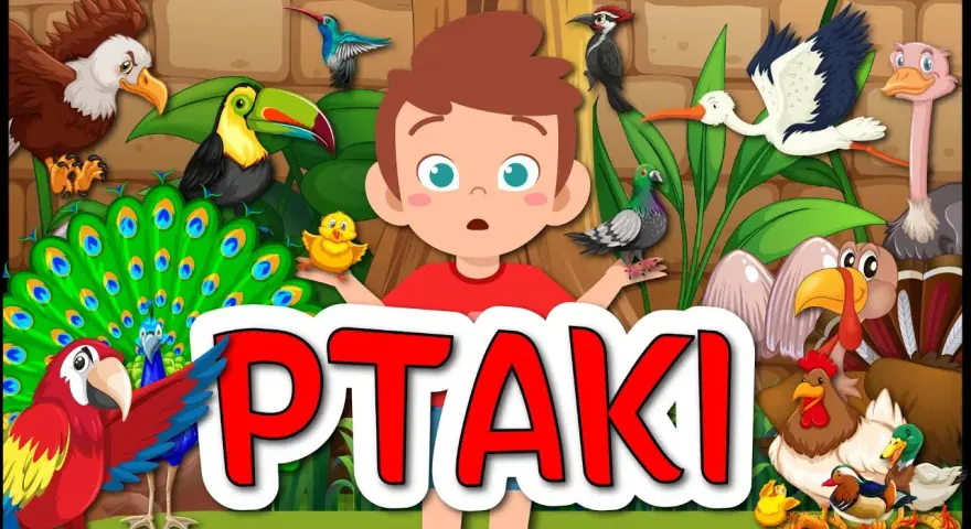 Ciekawe filmy o ptakach dla dzieci, które uczą o ich zwyczajach