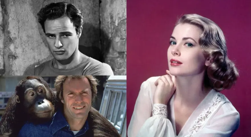 Marlon Brando, Clint Eastwood z orangutanem i Grace Kelly. Kto to za aktorzy?