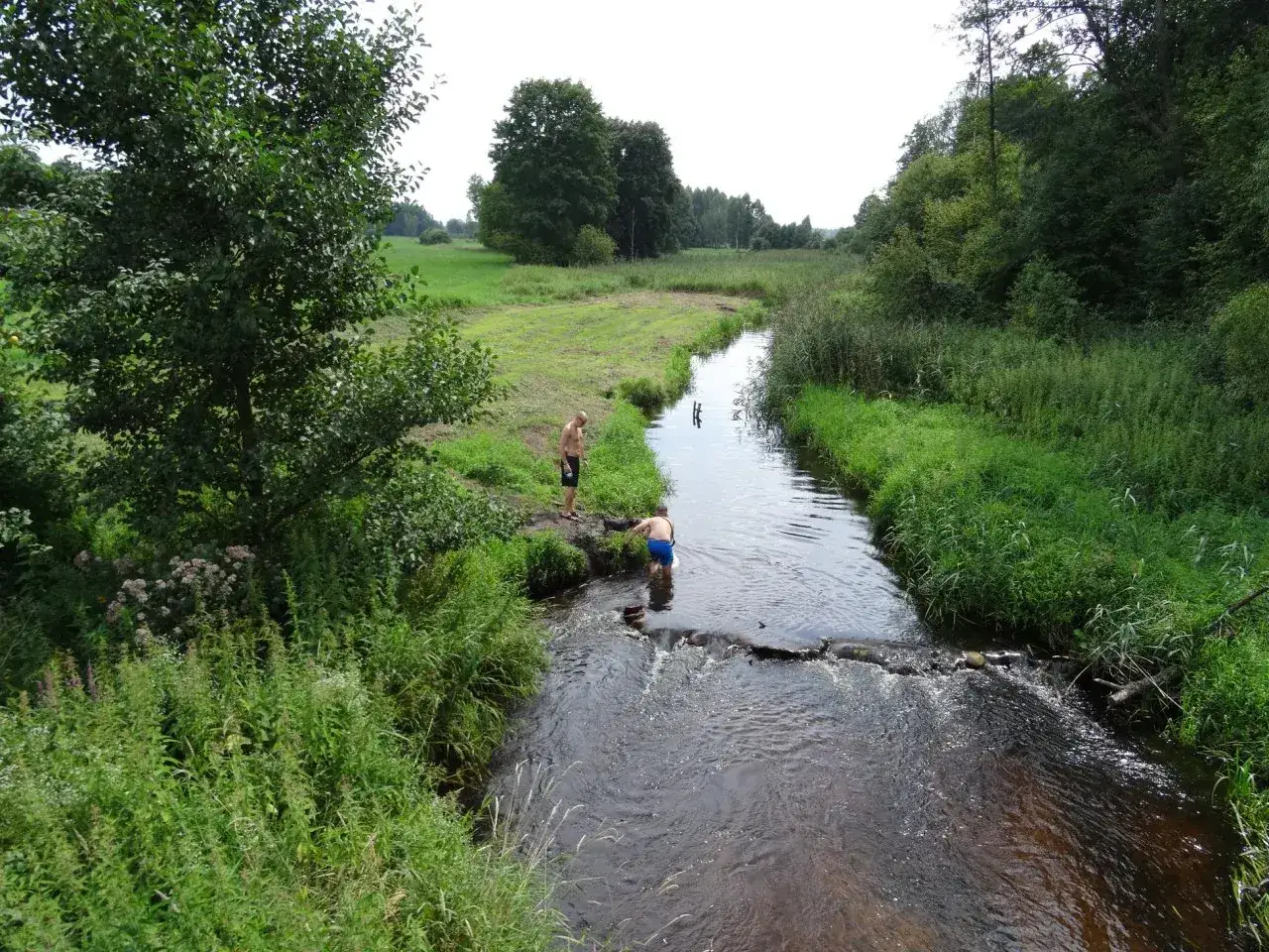 Dwóch mężczyzn w kąpielówkach pluska się w rzece, otoczeni bujną zielenią. Czują się jak u pana boga w ogródku, ciesząc się letnim dniem.
